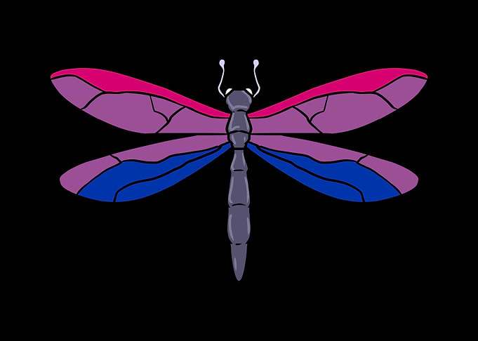 Bi Pride Dragonfly