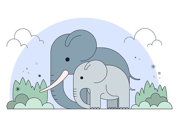 ELEPHANTS Animal