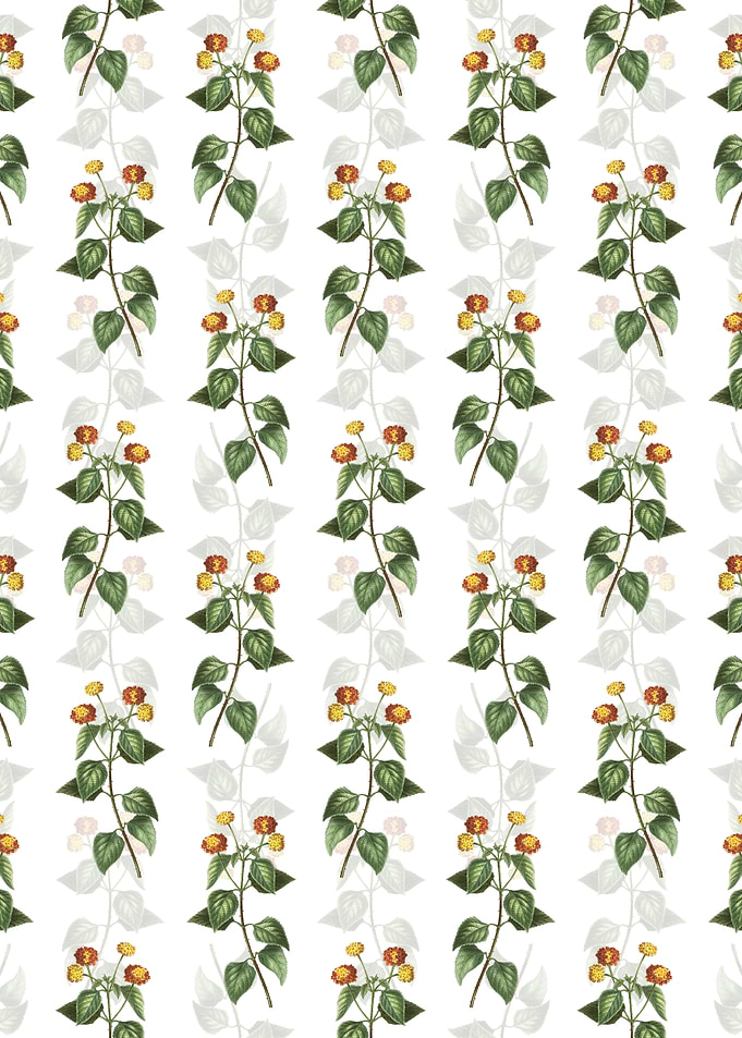 Floral Tickberry Pattern