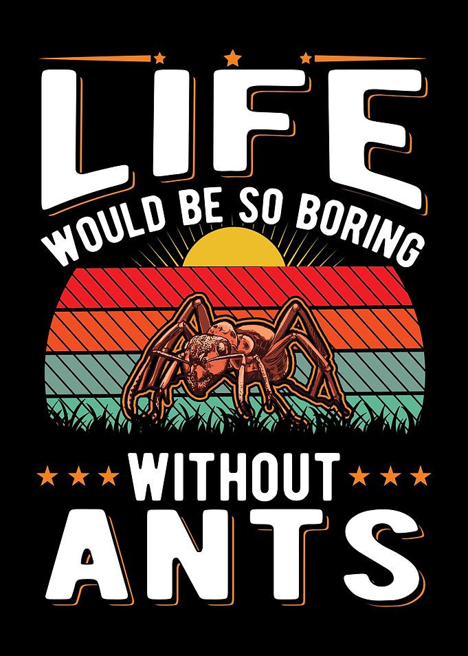 Ant Farm Ant Keeper