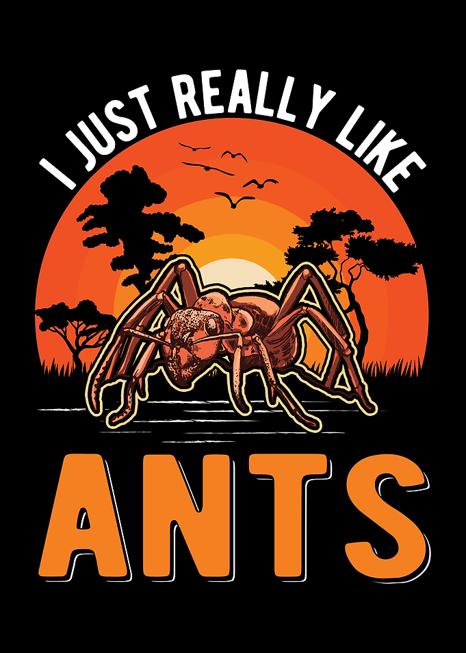 Ant Farm Ant Keeper