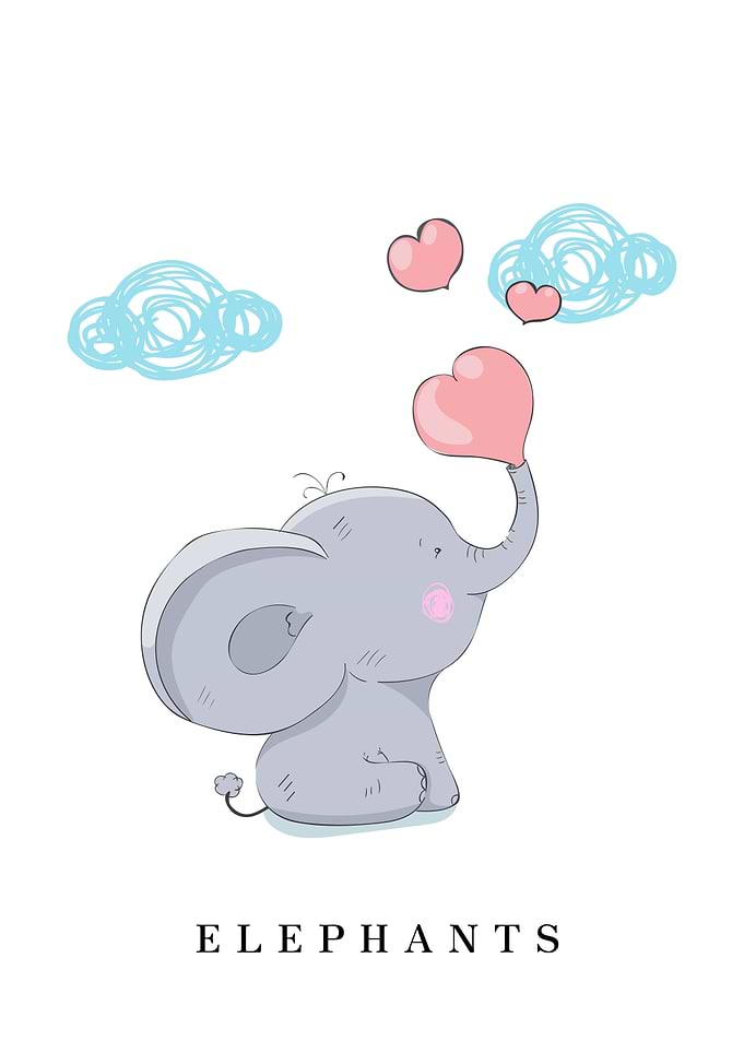 ELEPHANTS Animal