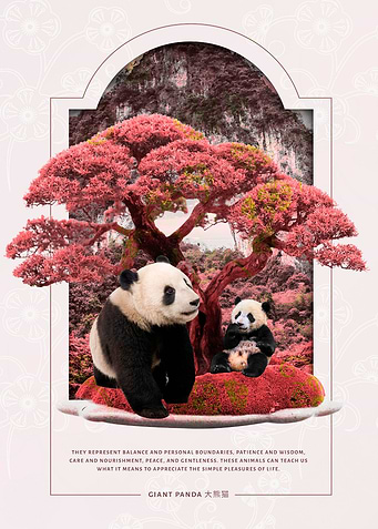 Panda Cherry Blossom
