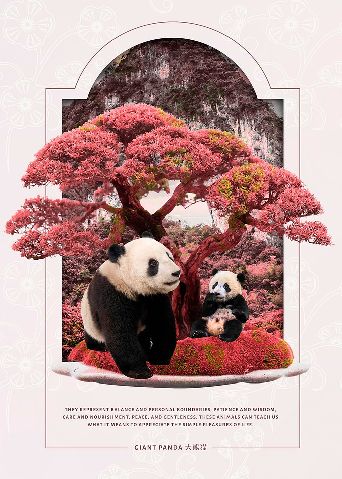 Panda Cherry Blossom