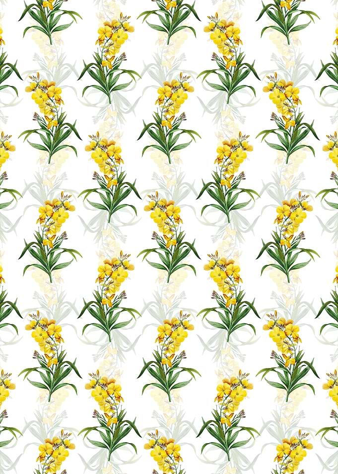 Cheiranthus Flower Pattern