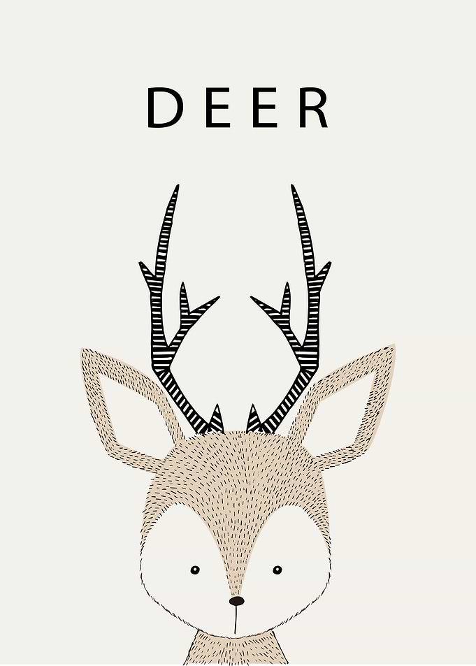 Cute Deer Portrait
