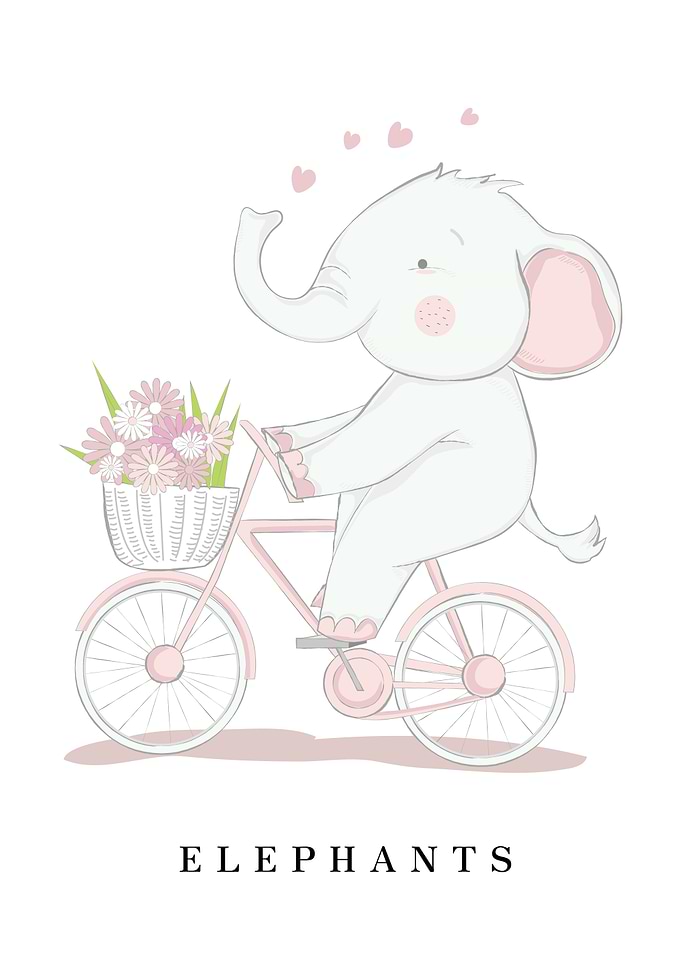 ELEPHANTS Animal
