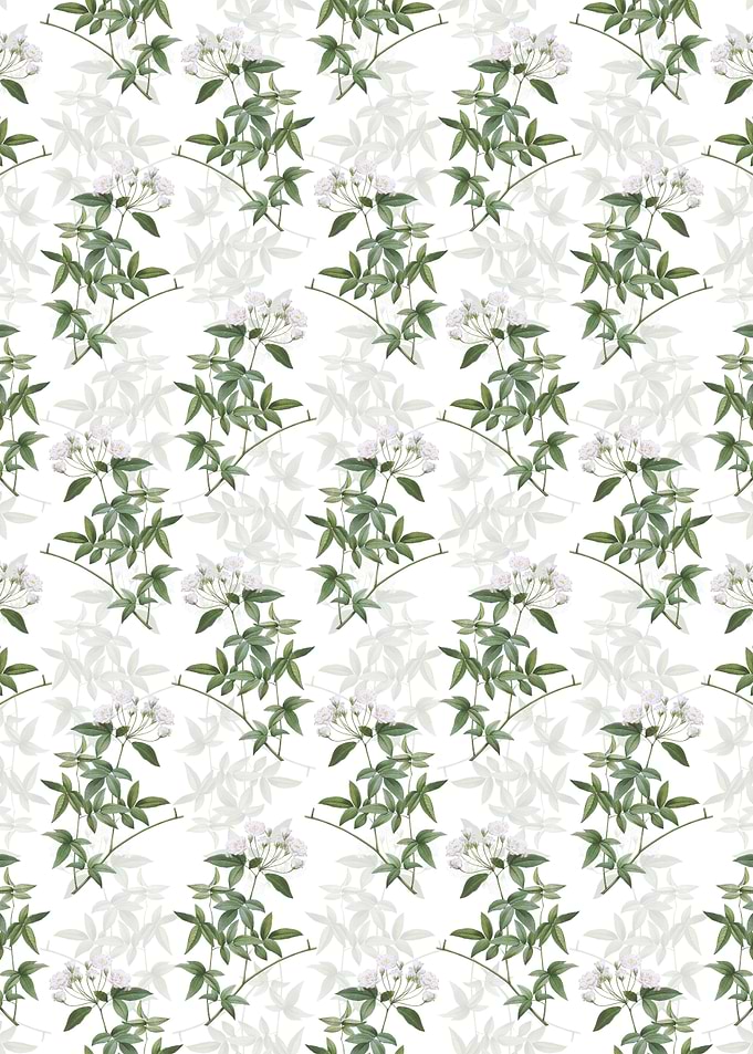 Lady Banks Rose Pattern