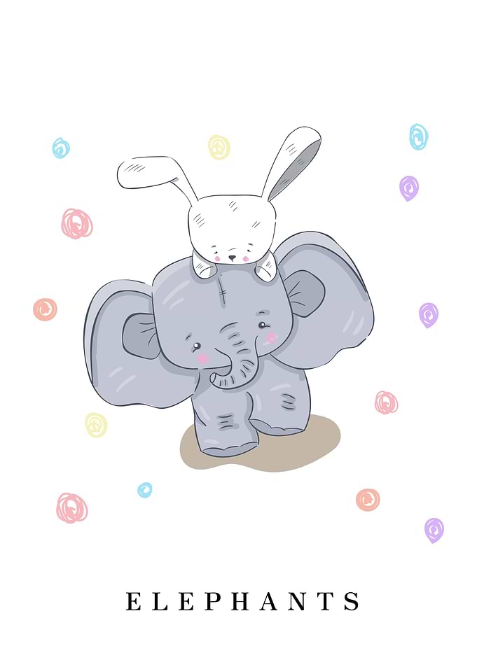 ELEPHANTS Animal