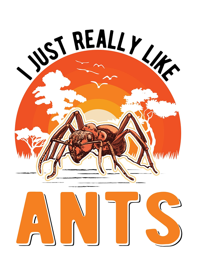 Ant Farm Ant Keeper