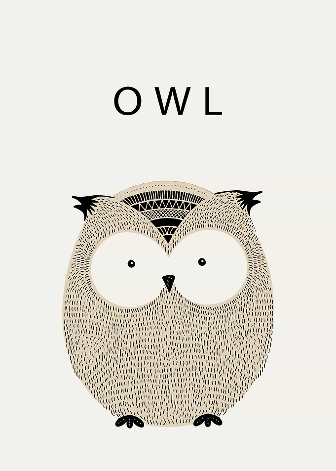 Cute Owl Portrait