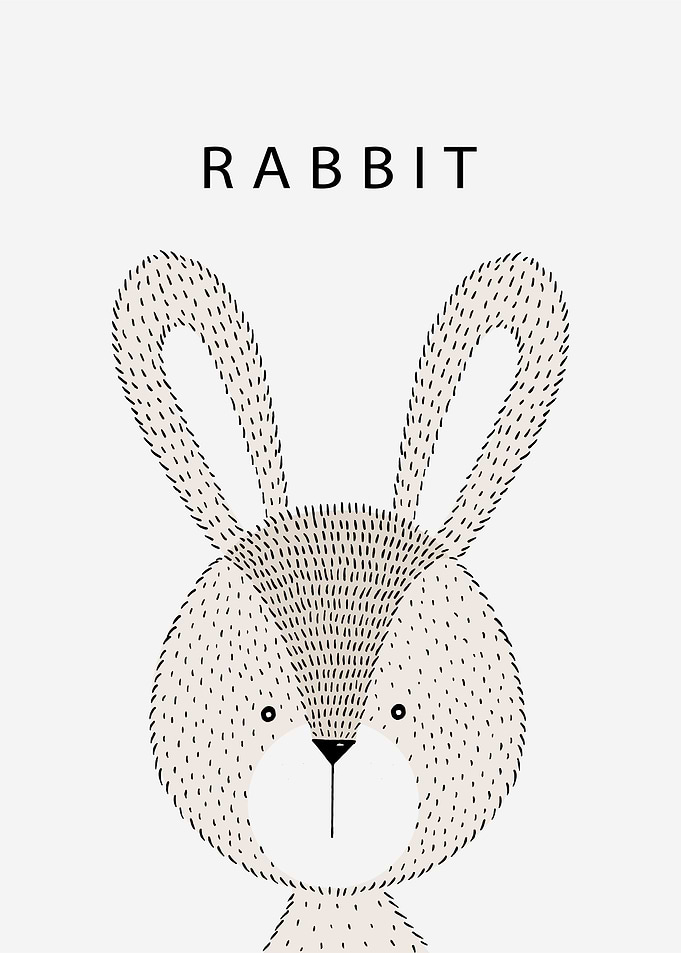 Cute Rabbit Portrait