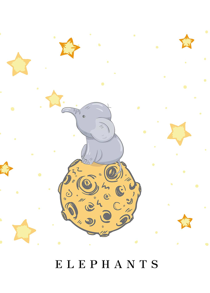 ELEPHANTS Animal