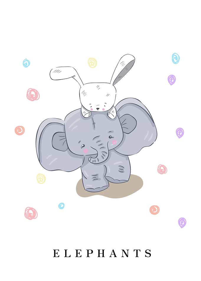 ELEPHANTS Animal