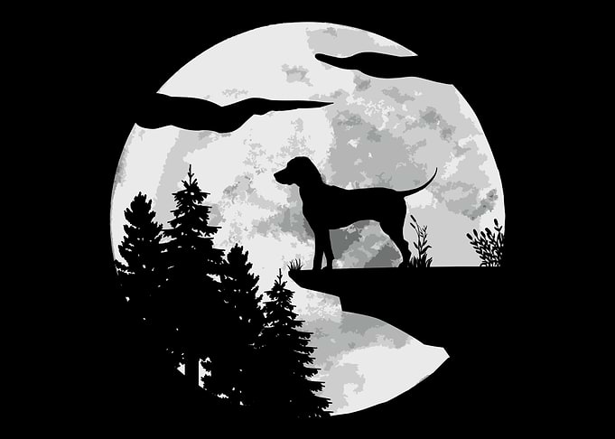 Dalmations Dogs