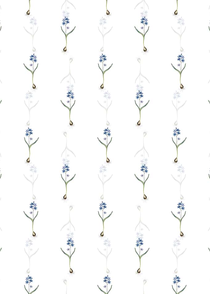 Alpine Squill Pattern