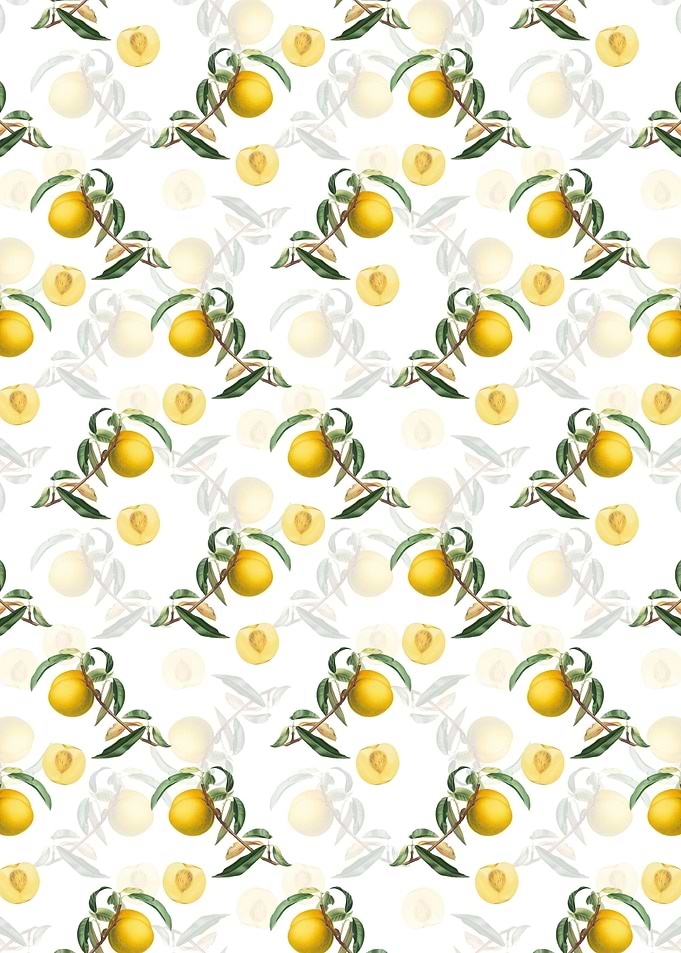 White Floral Peach Pattern