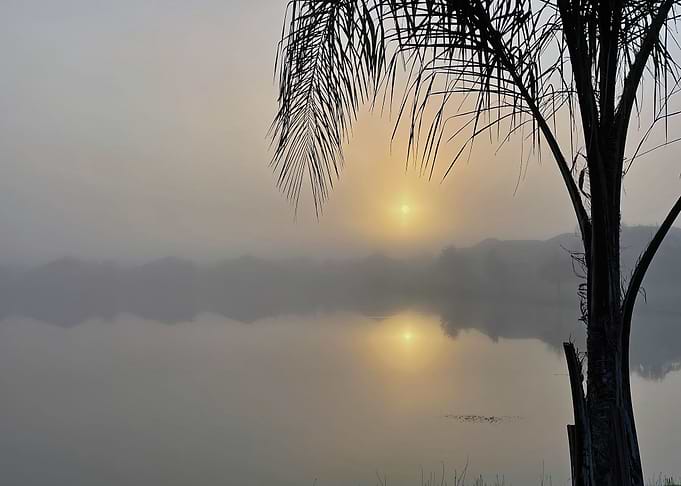 Foggy Sunrise