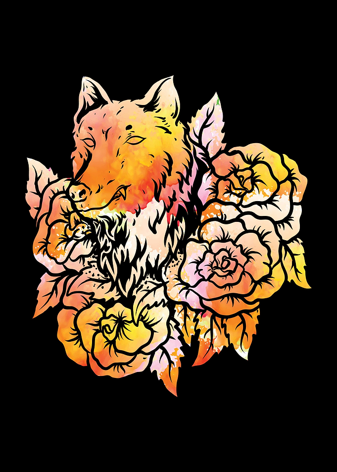 Beautiful Fox Animal