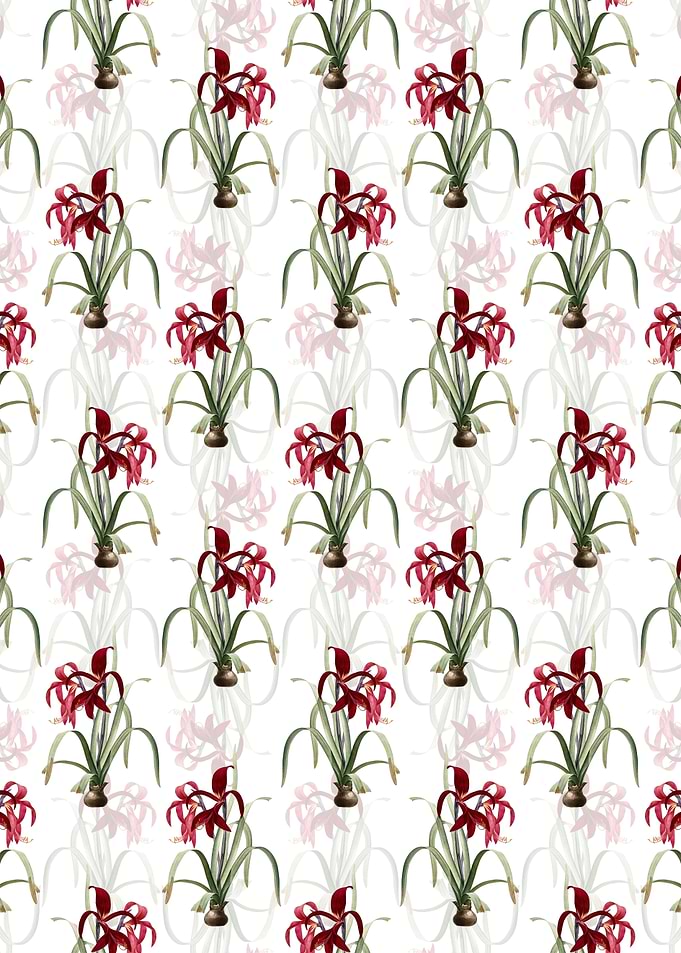 Floral Sprekelia Pattern