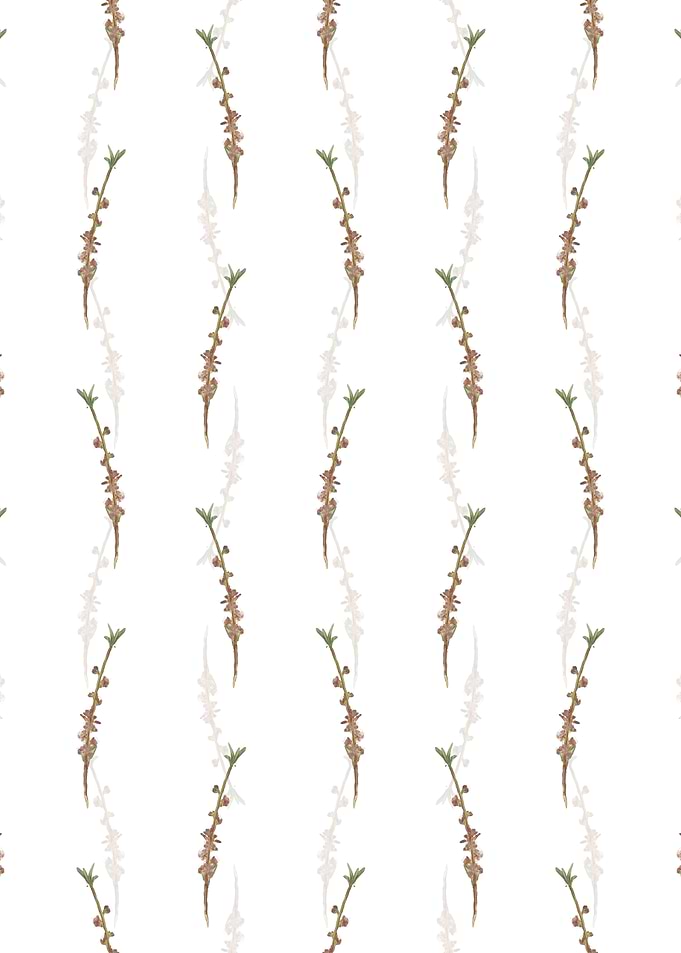 White Peach Flower Pattern