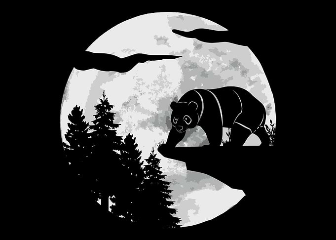 Panda Bear Pandas