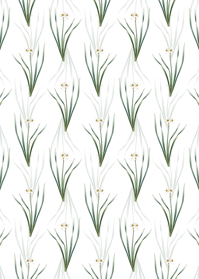 Primrose Peerless Pattern