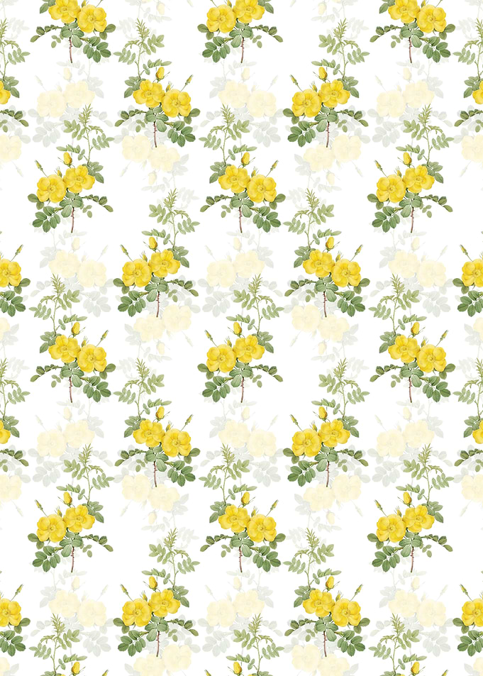 Yellow Sweetbriar Roses