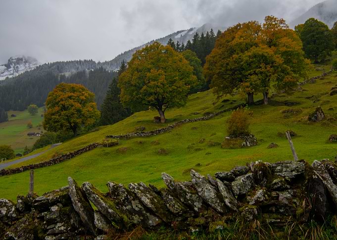 Typical Autumn in Swiss