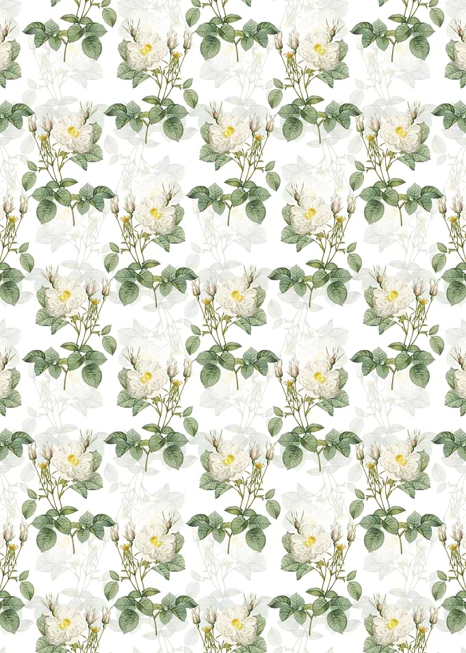White Rose of York Pattern