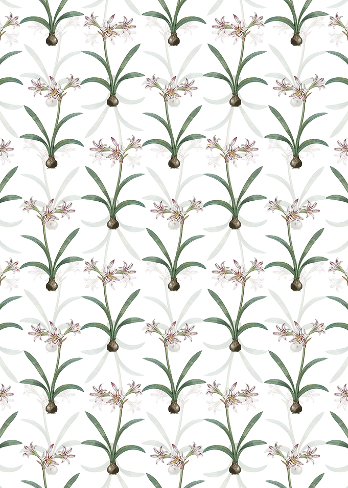 Floral Amaryllis Pattern