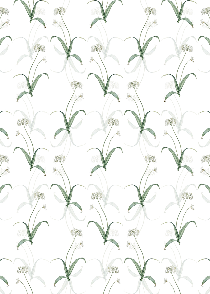 Spring Garlic Pattern