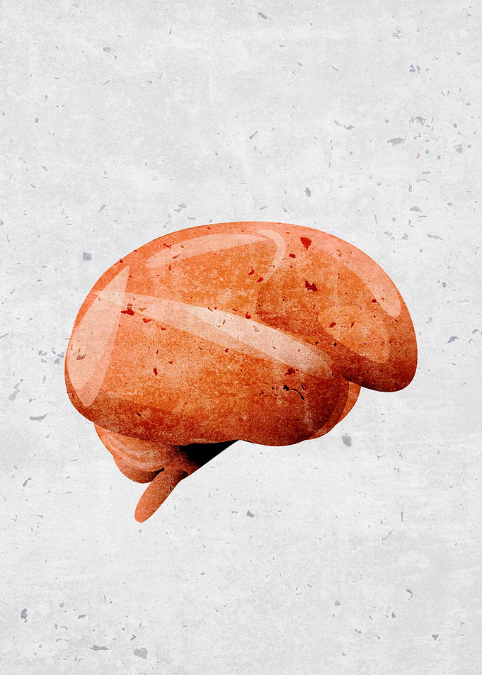 Internal brain oragan