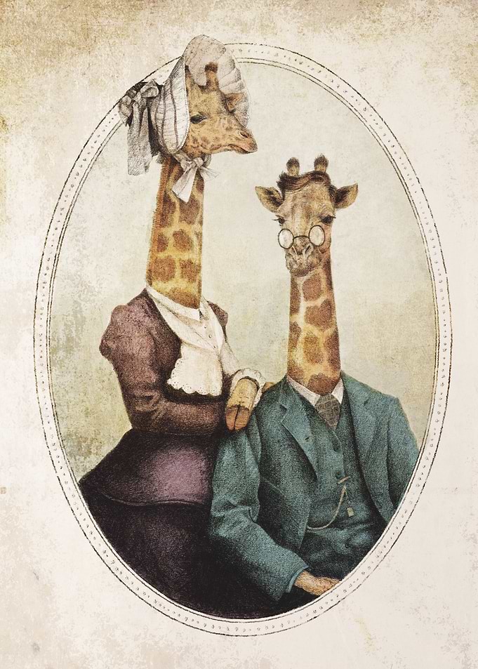 High Class Couple