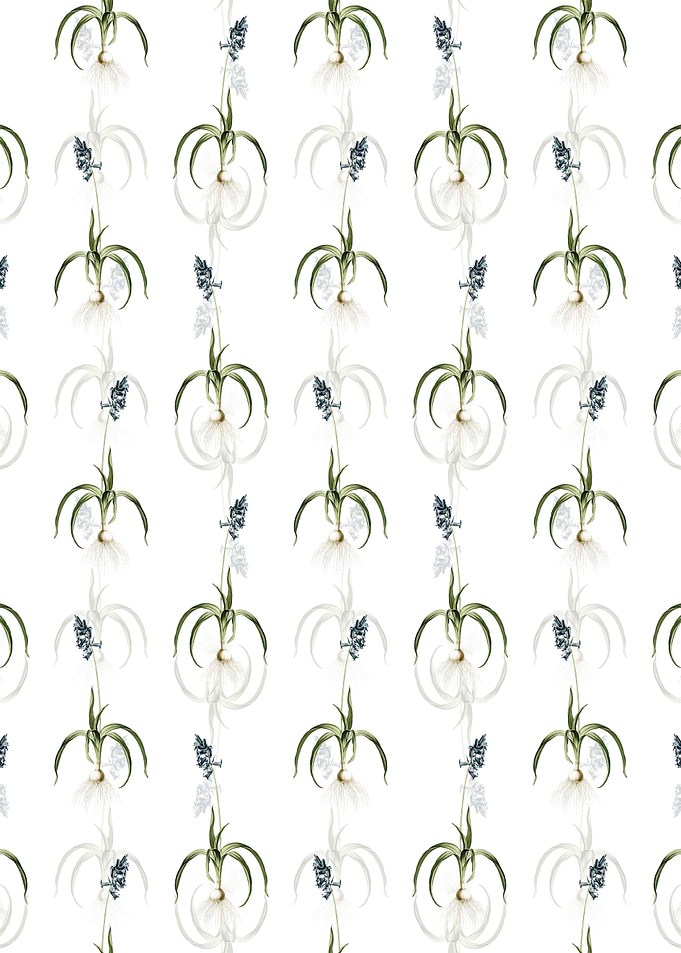 Common Bluebell Pattern