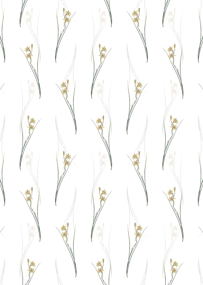 Floral Gladiolus Pattern