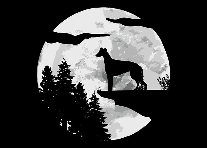 Greyhound Dogs