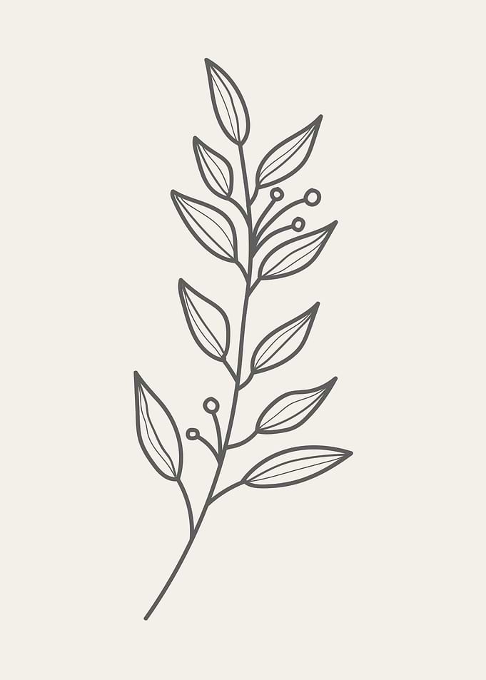 Abstract flowers drawings