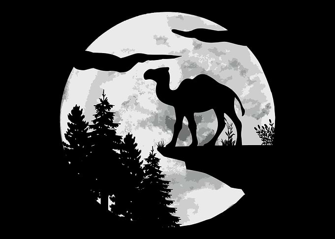 Camel