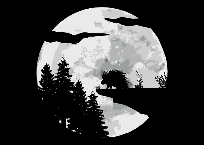 Porcupine