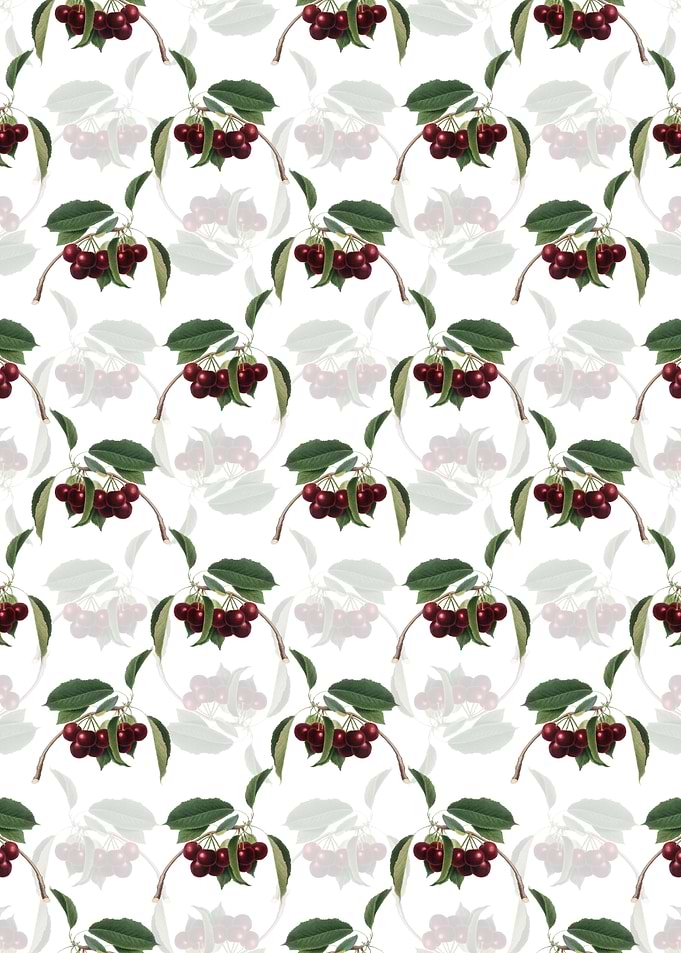 Floral Cherry Pattern