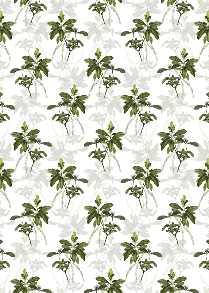 Swamp Titi Leaves Pattern