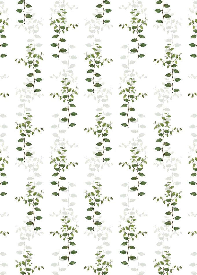 Christs Thorn Pattern
