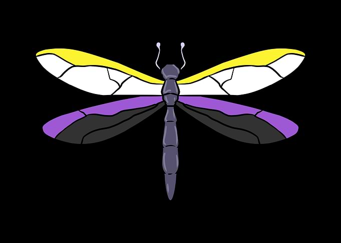 Nonbinary Pride Dragonfly