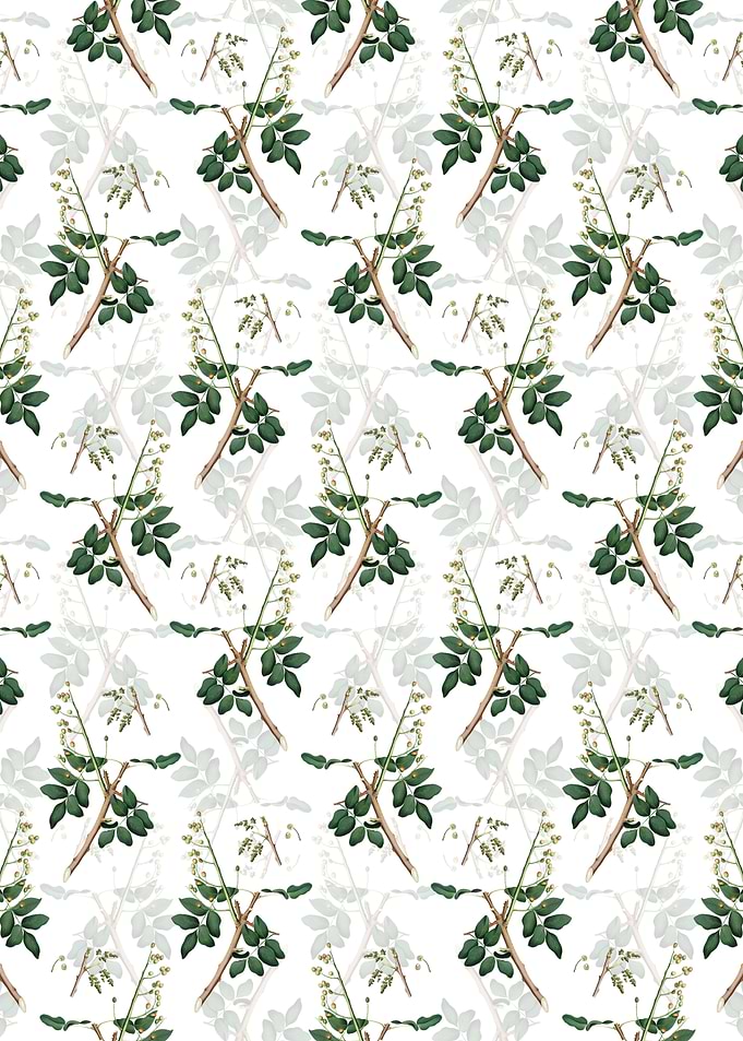 Floral Pistachio Pattern