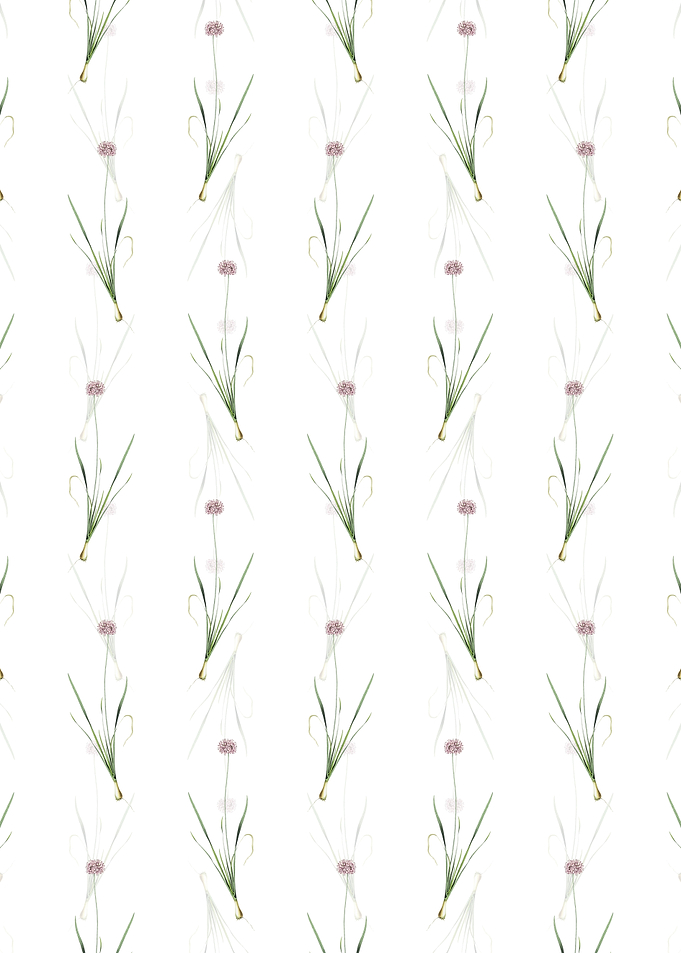 White Mouse Garlic Pattern