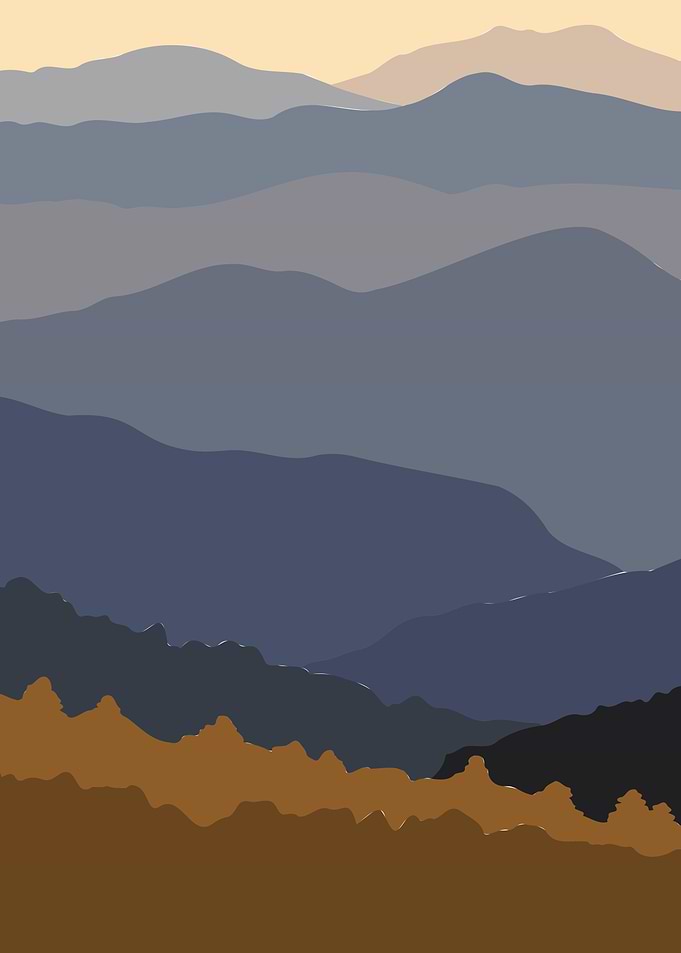 Forest Wild life mountains