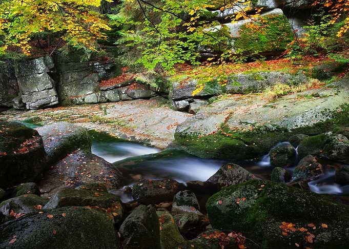 Creek In Autumn Mountains