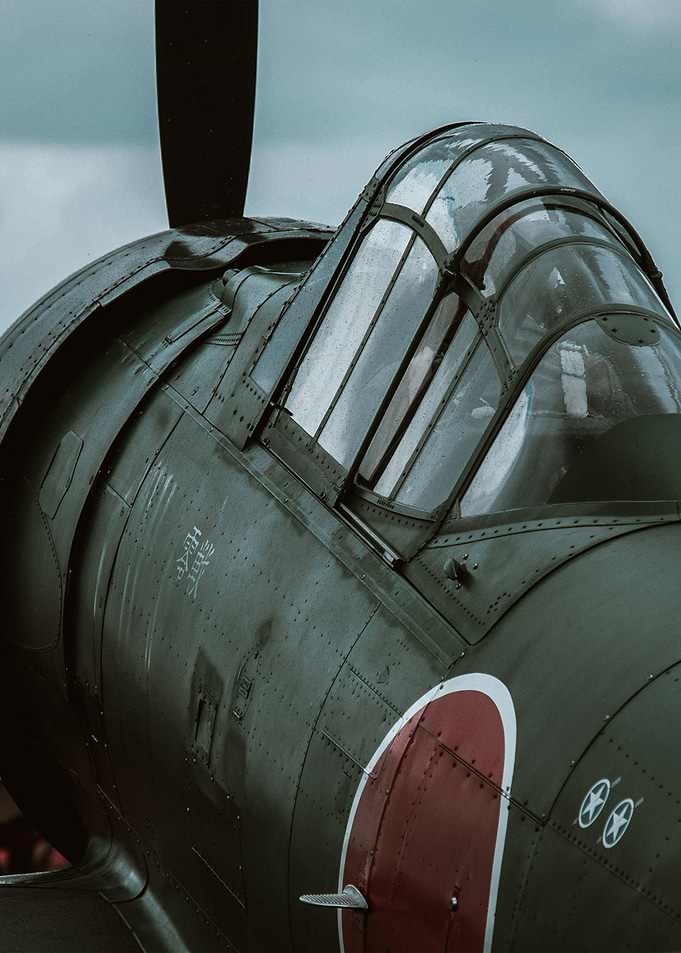 japanese bird