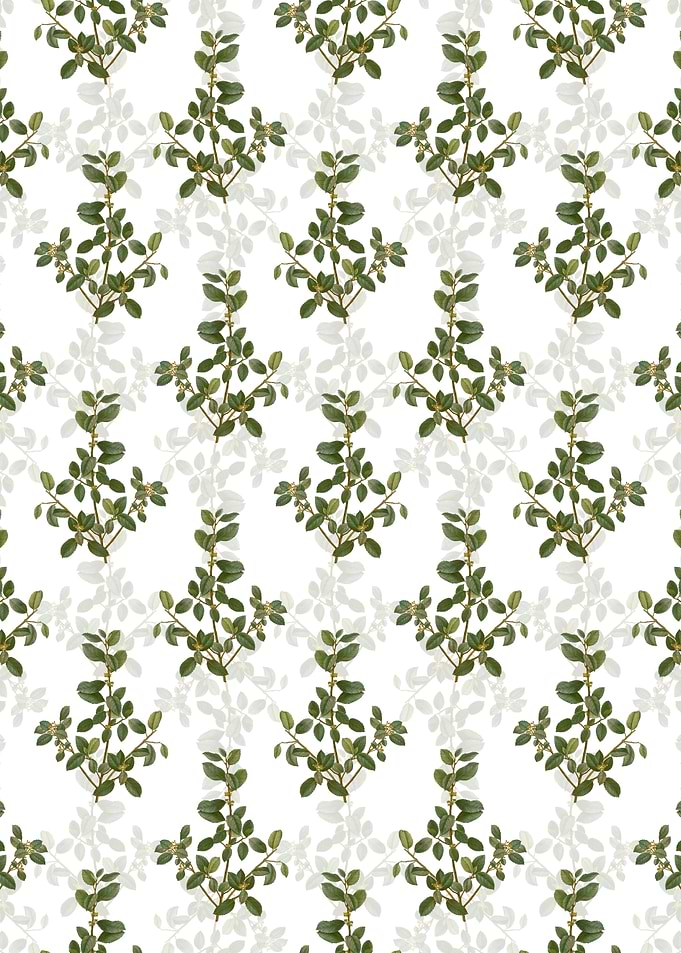 Italian Buckthorn Pattern